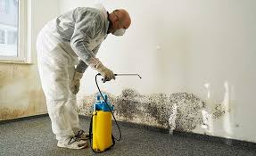 Best Mold Remediation for Healthcare Facilities in Huntertown, IN