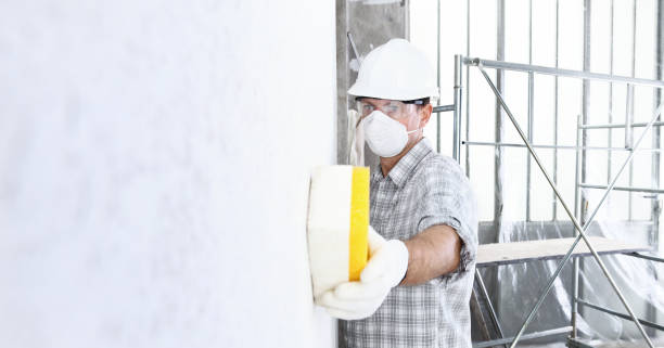 Best Mold Odor Removal Services in Huntertown, IN