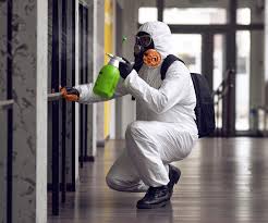 Why You Should Choose Our Mold Remediation Services in Huntertown, IN